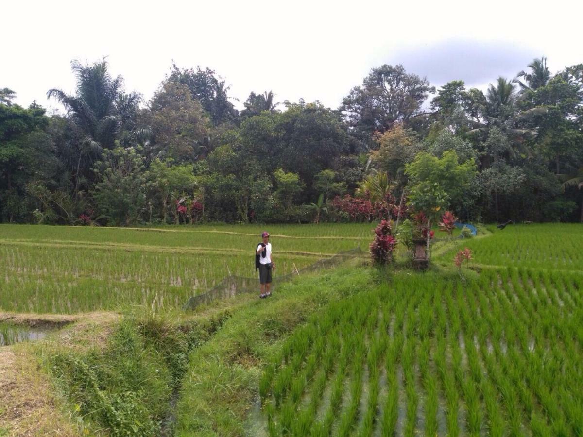 Bali Asli Lodge By Eps Ubud Esterno foto